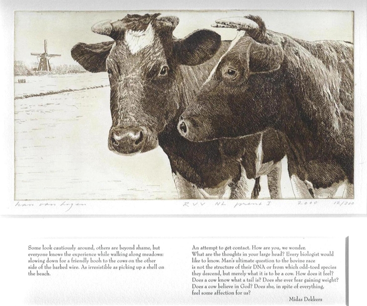 HagenHanKoeieninlandschapmettekstvanMidasDekkers003